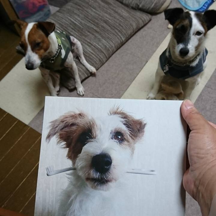 F0bd03bf 7eaa 4334 8022 e5cdedbb928e 1592722591603