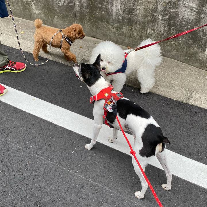 F0bd0b96 5191 40dc b3b2 c7ea73d0cf2c 1623476576247