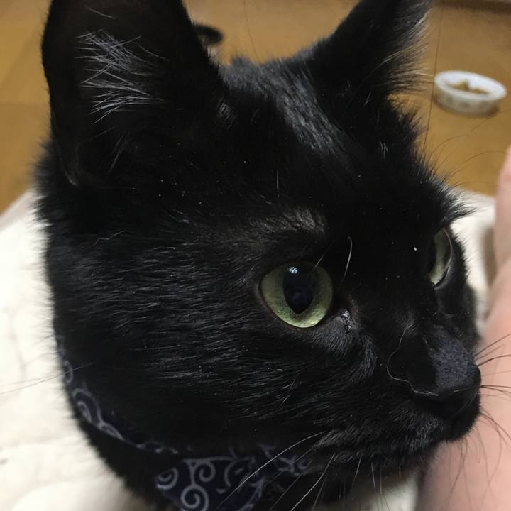 F0bd2b2c 6250 4a59 a28d 70b1f21080d4 1549020011007