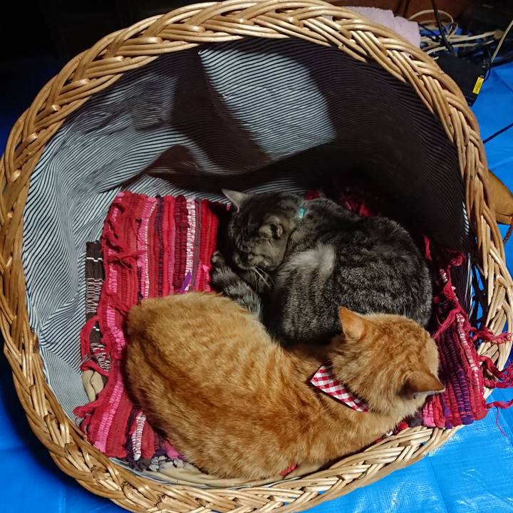 F0bd352c 611c 4578 9c5d 638754e003e4 1558112367933