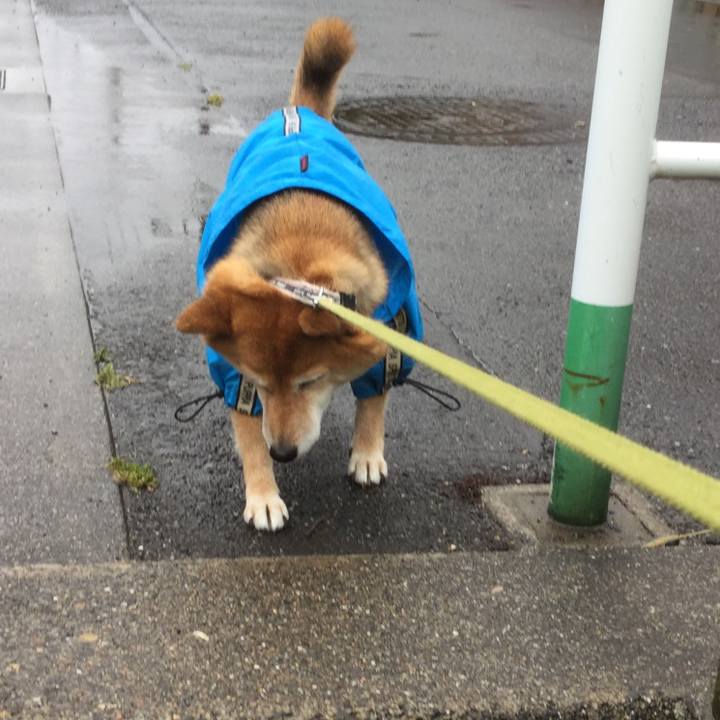 F0bd3fa7 f7c6 453e a8f5 25340f63bca1 1561341713010