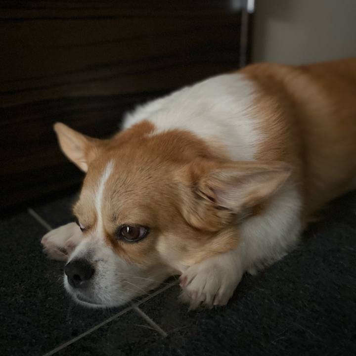 F0bd48ce 3d0c 47ed b101 82af6ec5d2c9 1663066348602