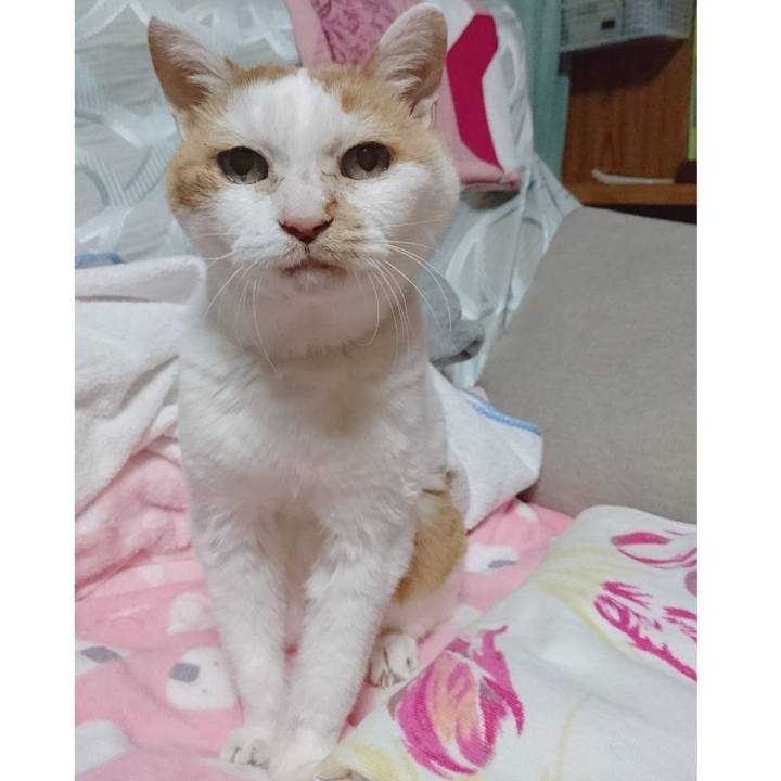 F0bd7309 1cea 4c31 b2e3 94f0d425ffc8 1642777034803