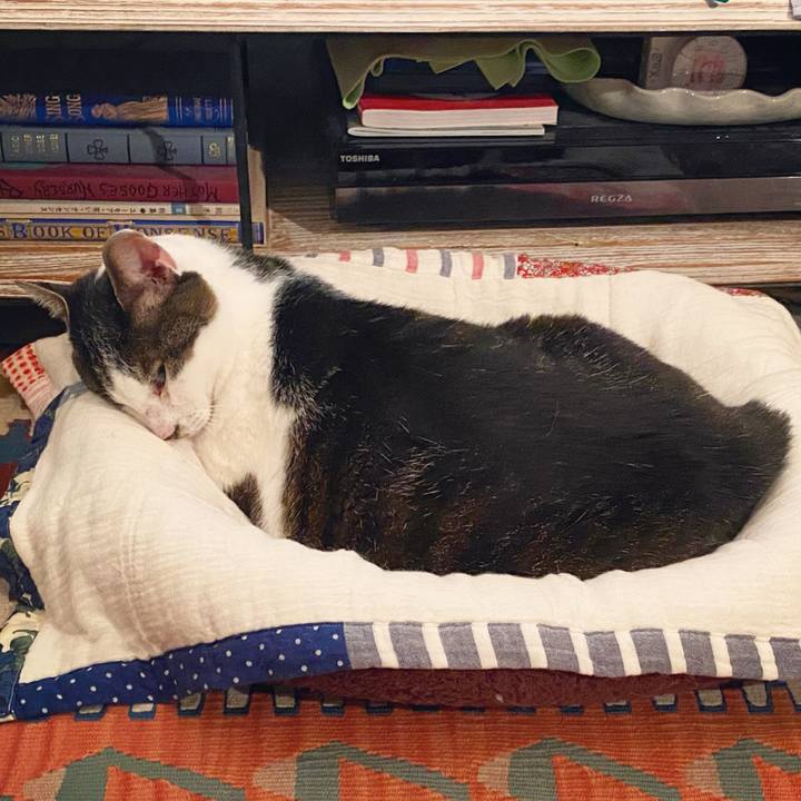 F0bd9936 76ff 4636 98df dbaedf190853 1589726318774