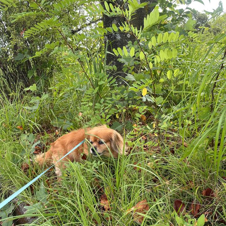 F0bdaa67 18ea 4a6d acac 2f53196ad878 1757205666119