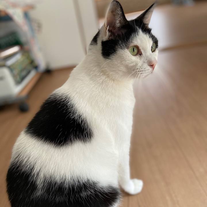 F0bdd9c9 4173 4de6 898e 6039188939bf 1571702234914