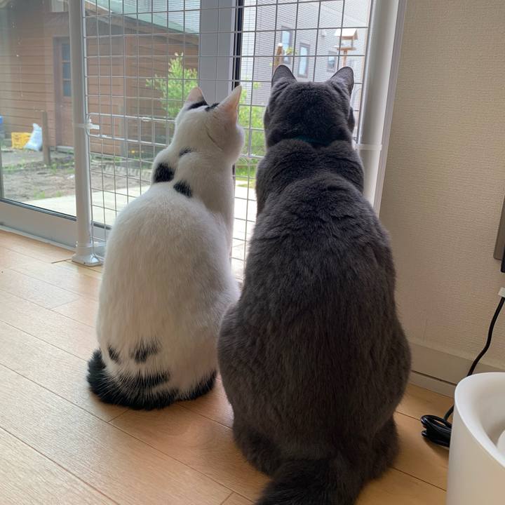 F0bdf7e4 bf83 4e04 af12 01560c700739 1684541224789