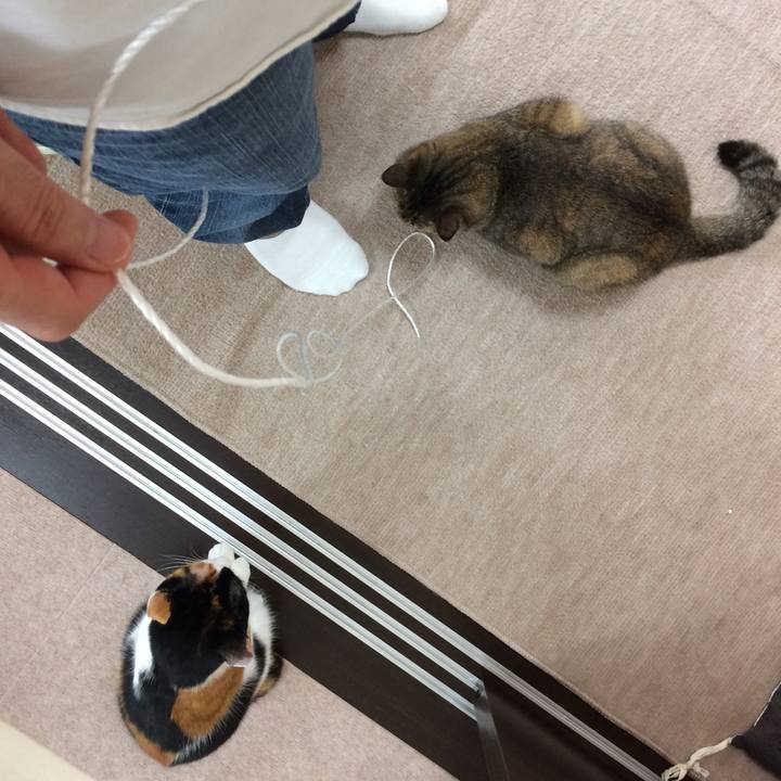 F0be6c81 e875 44e0 86d5 e883acae5940 1520655457501