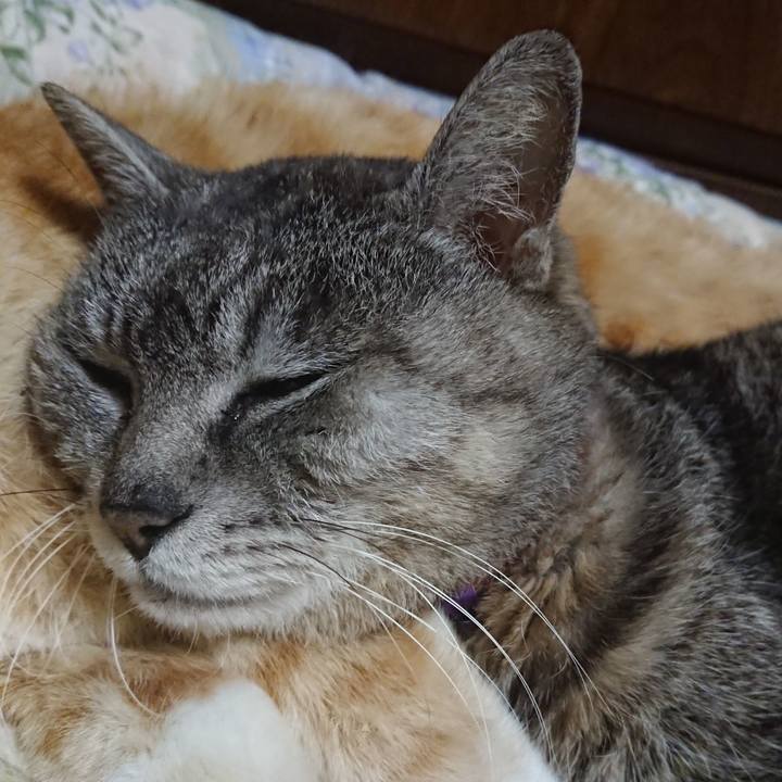 F0be73b1 9d98 4863 8ddc f58444ebe3a6 1587989577206