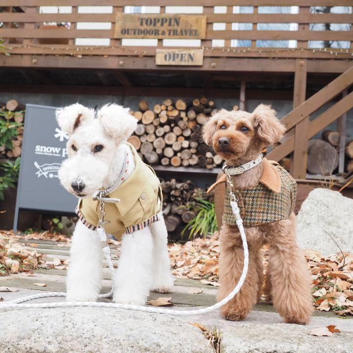 F0be92b9 8484 42e4 b312 8064c3bb72e2 1544520233004