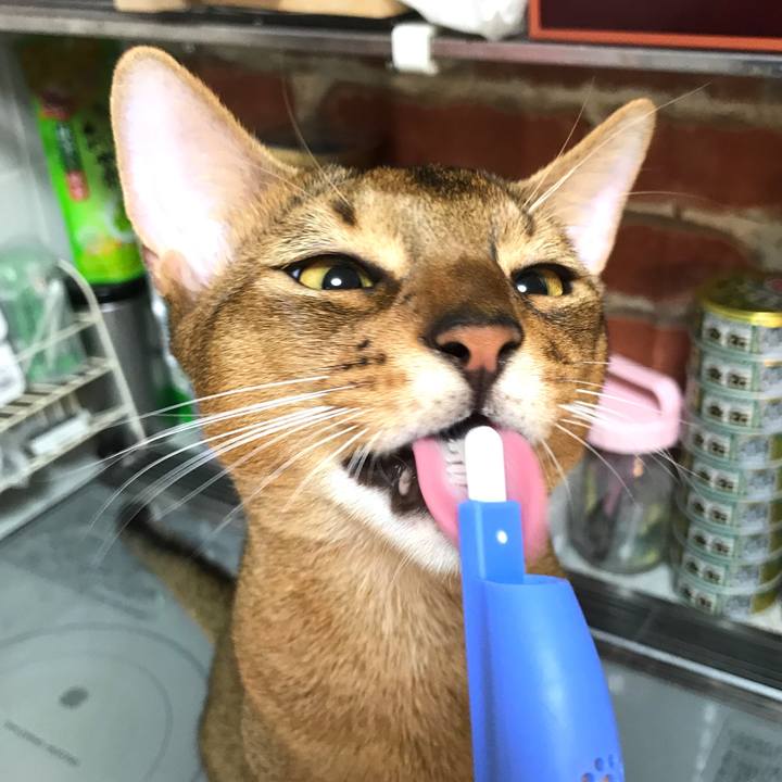 F0bef03c 0993 408e b9a0 e2543c5778cc 1598572548657