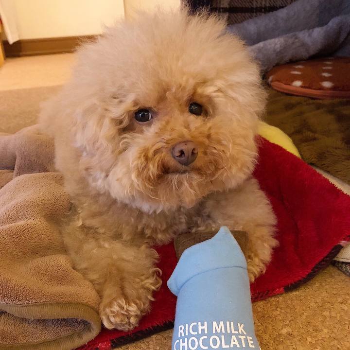 F0bf42e0 b0be 4616 9838 95b21d198a65 1538818719075