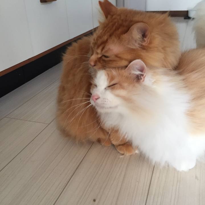 F0bf48e8 80be 41f2 92ba 449fdc98b90d 1527369534417