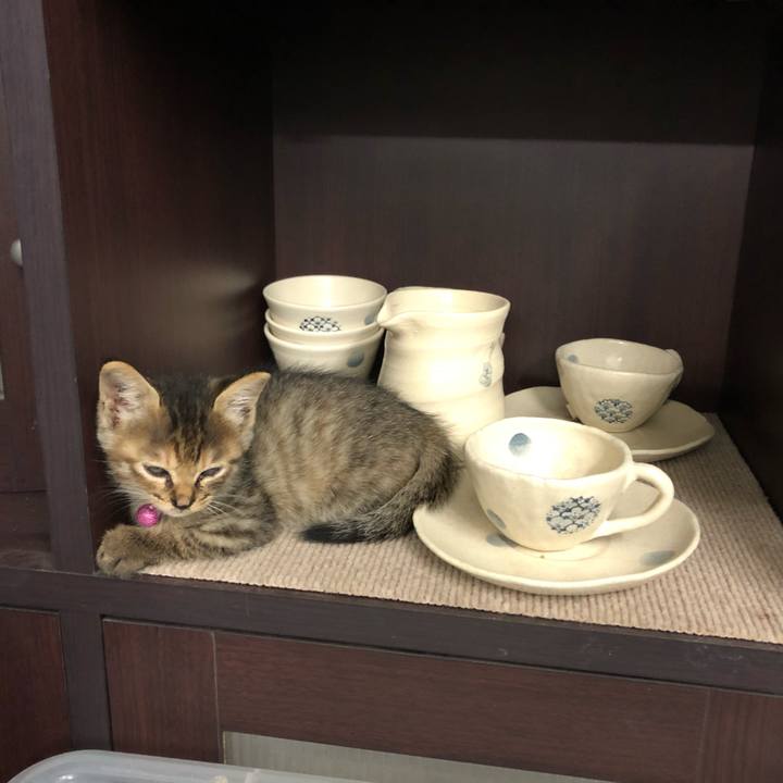 F0bf7276 a3f6 4998 a2b1 216a0d6007f6 1601187993103