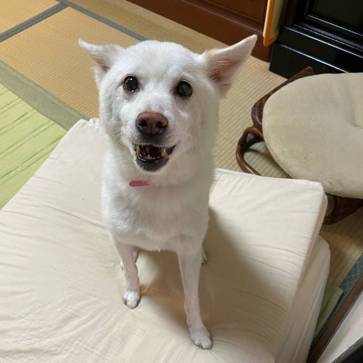 F0bfaf5d 1d9f 4236 9de6 80df39dbf6d4 1664174140467