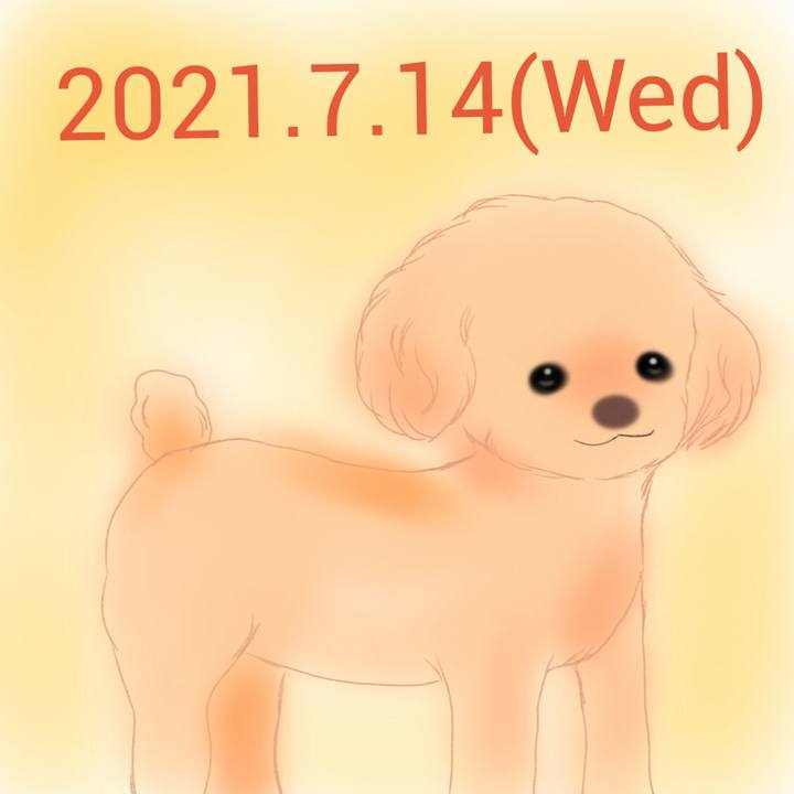 F0bfe2e9 8677 4e57 88c0 afaa21611457 1626266808369