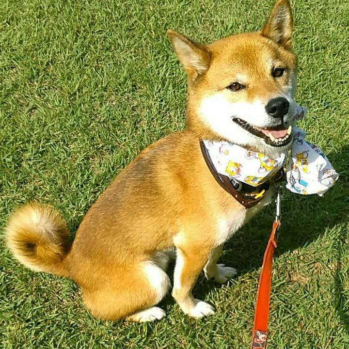 F0bfe552 328a 453b 9e06 7a6283677833 1567037815415