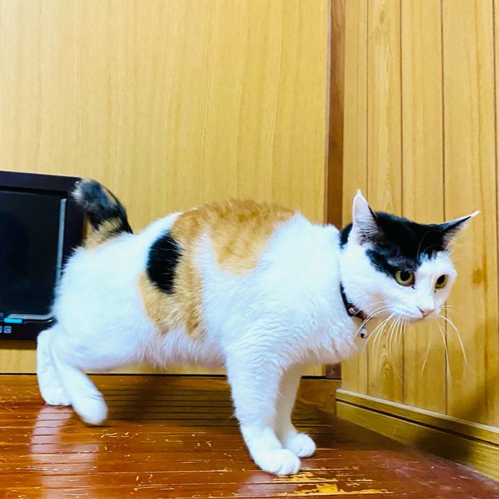 F0bfec37 552b 4c9a be64 f0771732e510 1667652352106