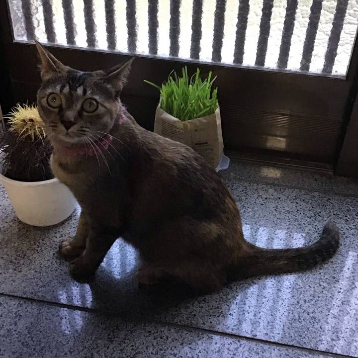 F0c00638 1818 4a60 a4e6 31c5addbf4b3 1593680931612