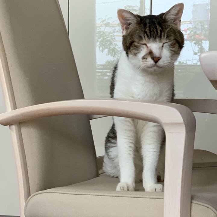 F0c01eef b19d 4f72 8391 818a81c9372f 1629001729177