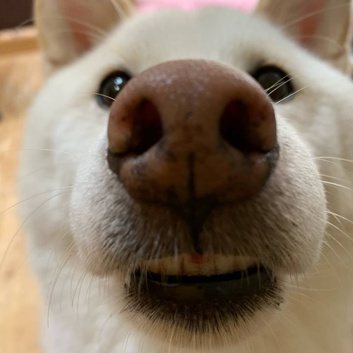 F0c028a9 e188 4794 b2f3 7a5fcc929586 1613774749798