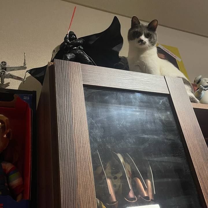 F0c03230 21a2 4ee5 98a0 7fbc773bc096 1627386996260