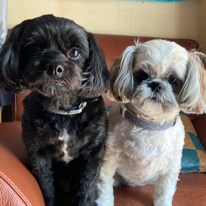 F0c0378b e251 4da5 aeaf 42f6543b7ad6 1651894108011