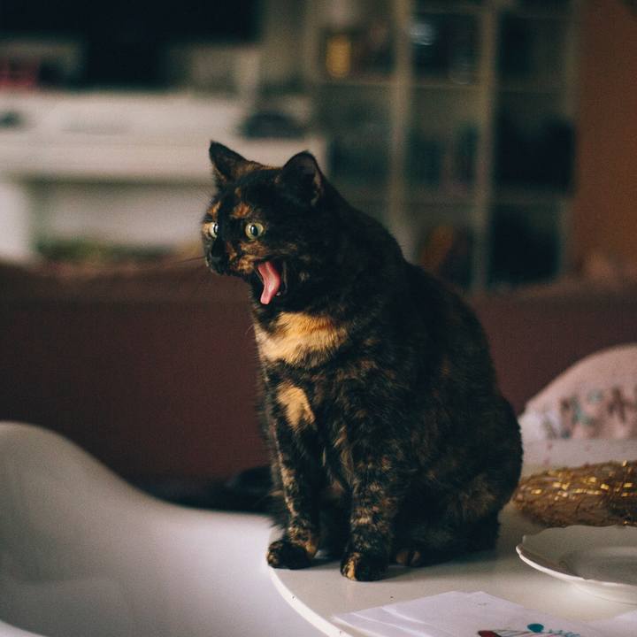 F0c05c64 3550 4174 bd98 8edf486c7c8c 1574393524143