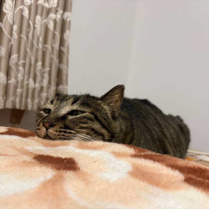 F0c07612 4dfb 4f78 bb07 e8c8b5baf0f3 1768301978782