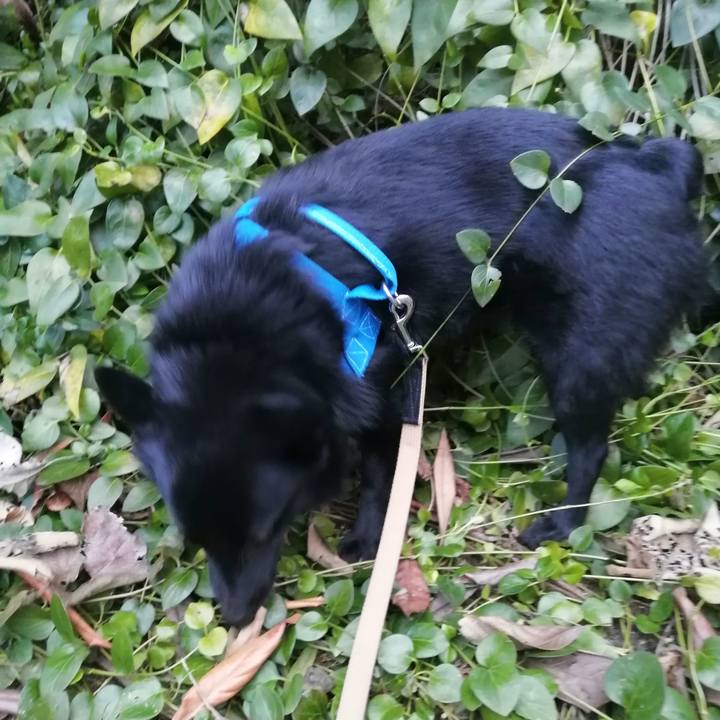 F0c07dd8 cb8c 4e88 9187 3b6d83ce214d 1613686058530