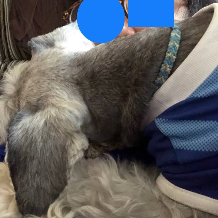 F0c08022 bb75 41af a2ce ce78cfdfa76e 1530430913715