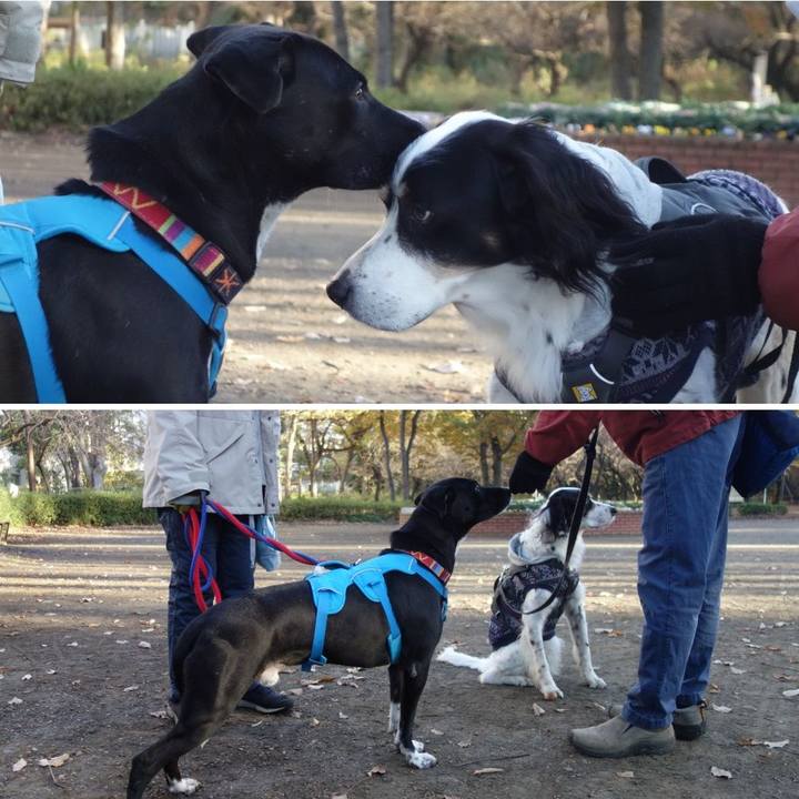 F0c0c9e3 47bf 4046 b703 db53d5ca2bb8 1607393289540