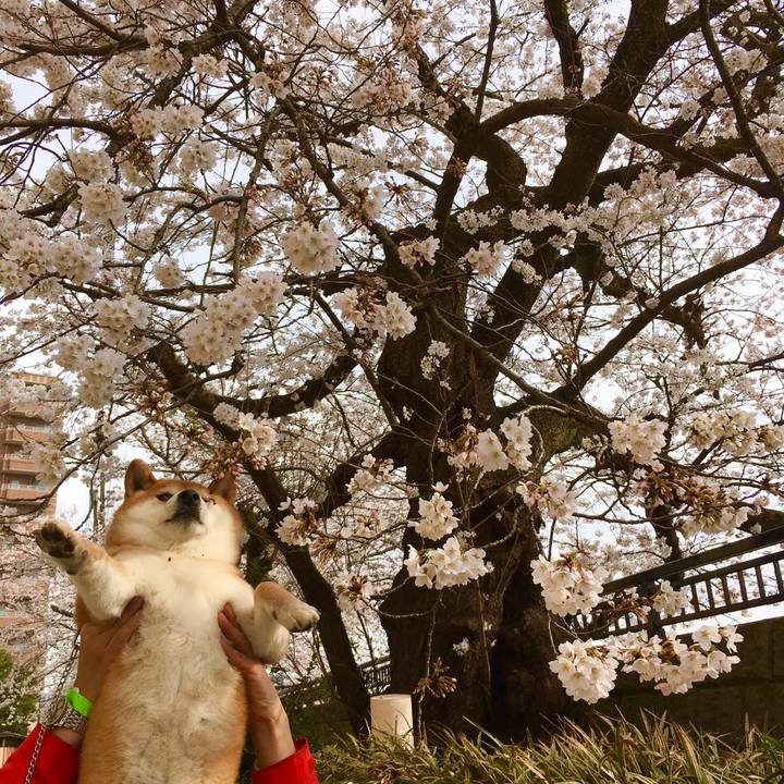 F0c0ca68 39c7 4648 89d7 bc01fd628fab 1616850814907