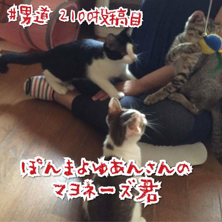 F0c1165f 6728 4814 969c 17b6fe75c529 1566444698233