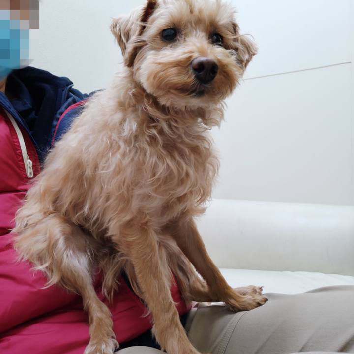 F0c13075 dc67 4afe 96ed ab69c42ff538 1613128296603