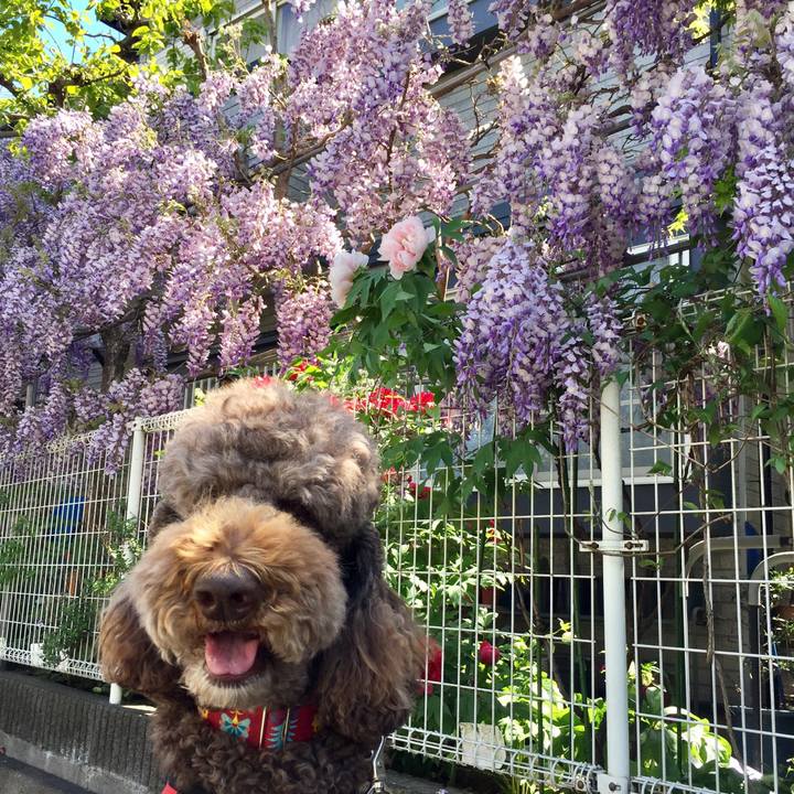 F0c134dd cf88 463f 82db cd58e7a1093b 1523170940127