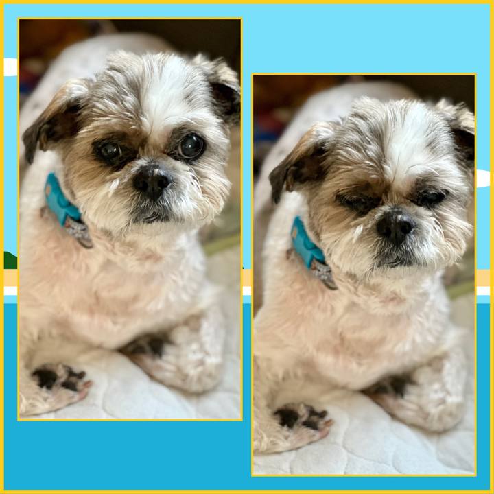 F0c151f1 10da 40ef 8a28 ab63d4a976c1 1683097399841