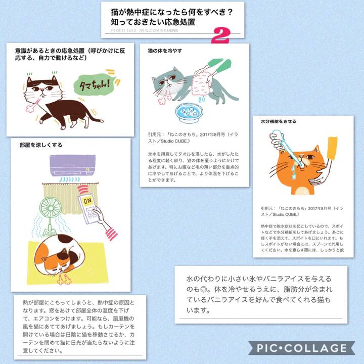 F0c155d1 e3c0 42ef 9647 ea472dea03d7 1531854685318