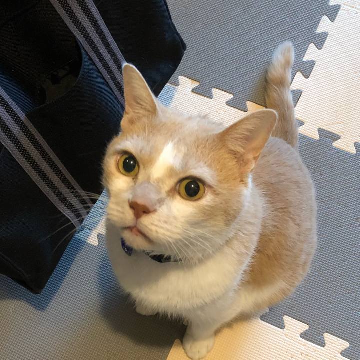 F0c1660b 70b1 42bd 8c32 ff29fc95f71d 1531647752719