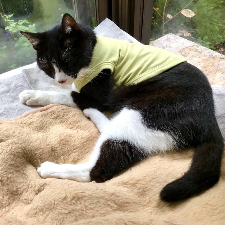 F0c19f78 a7a7 475e 87a1 26220431efc5 1538794653481