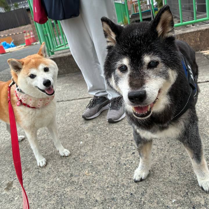 F0c1b2d3 37ae 4b5f b92a beba72aab784 1751409312456