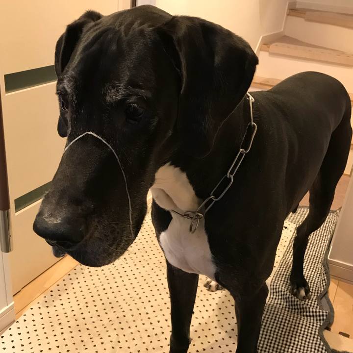 F0c1beb1 59e1 4520 a417 333cd1d5d8a9 1514792149358