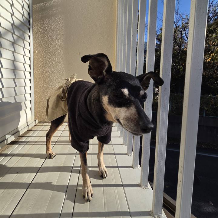 F0c1f825 6a4c 41a5 af89 2933eda023fe 1764140920935