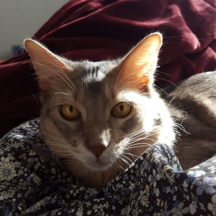 F0c20ad2 e4c9 434b b29f 78197447d3a4 1578209559673