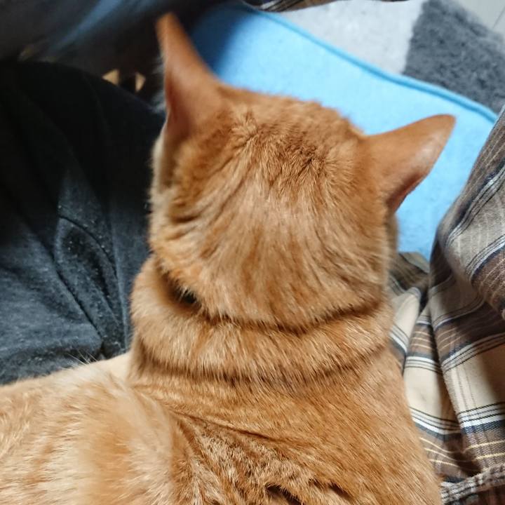 F0c21380 3a1b 445a 8a52 4acf05637e8c 1637405846200