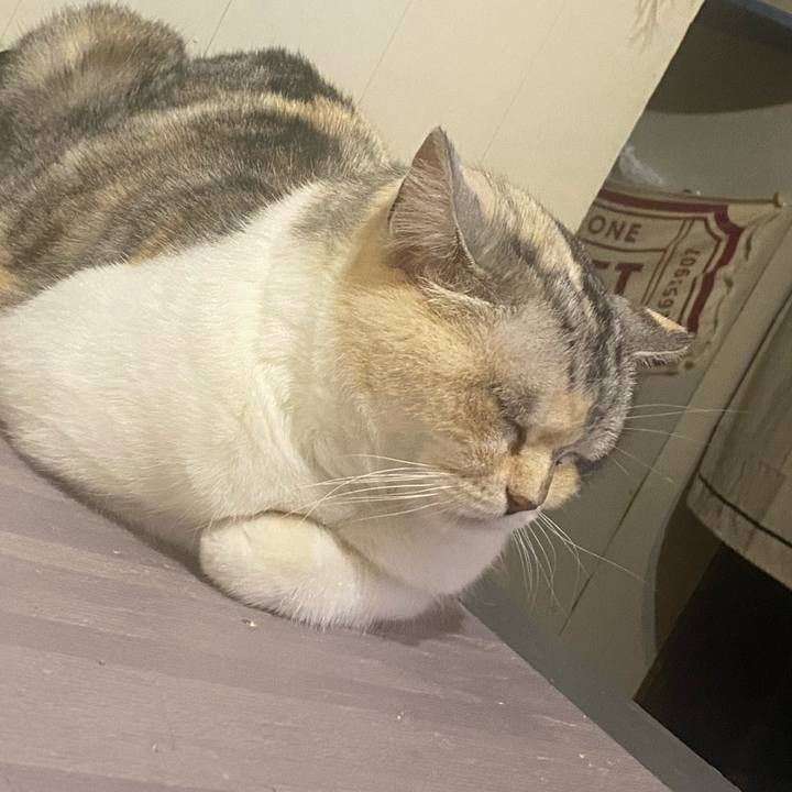 F0c223be 8965 45c2 8f5d 4a44e629e217 1654012542562