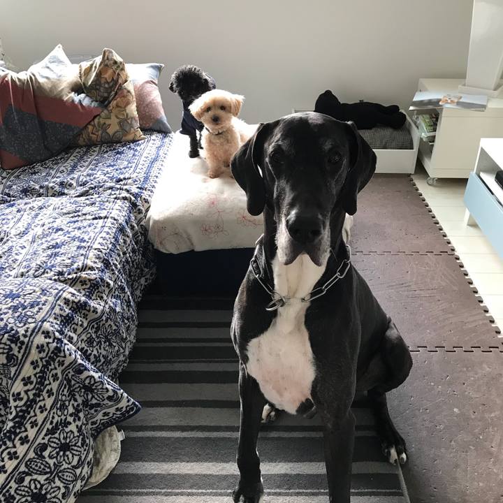 F0c24a5c 0f47 43ba 8c51 aa876f56e028 1518738705888