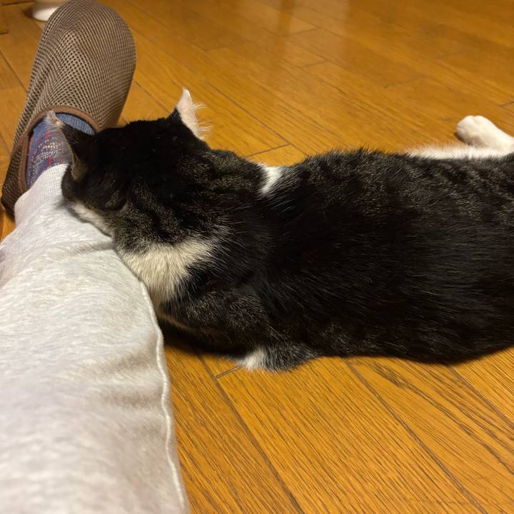 F0c2686b 2fb1 40fc 8fb2 b94fd5a3c821 1753925363680