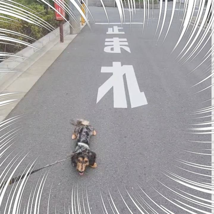 F0c28732 01e3 45aa a166 e041acbc4247 1722985618180