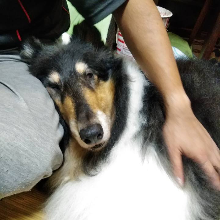 F0c2a465 6c8e 443a ac84 07cd9e0bb16f 1537110869757